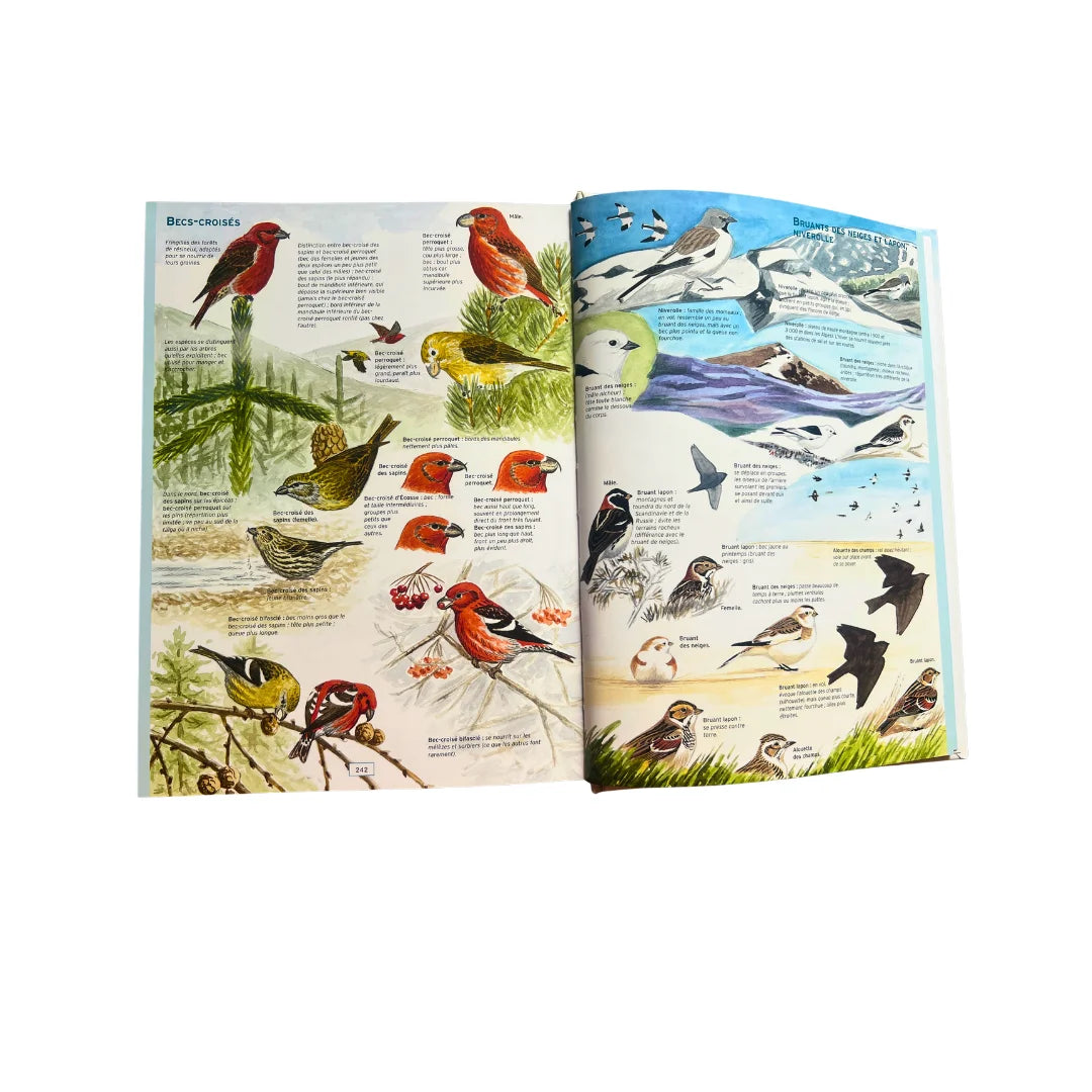 Guide ornithologique - Identifier les oiseaux d’Europe