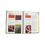 Guide pratique - Un jardin fleuri toute l'année