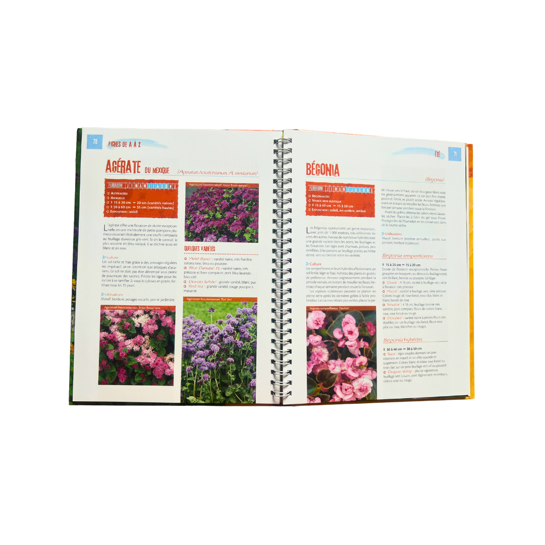Guide pratique - Un jardin fleuri toute l'année