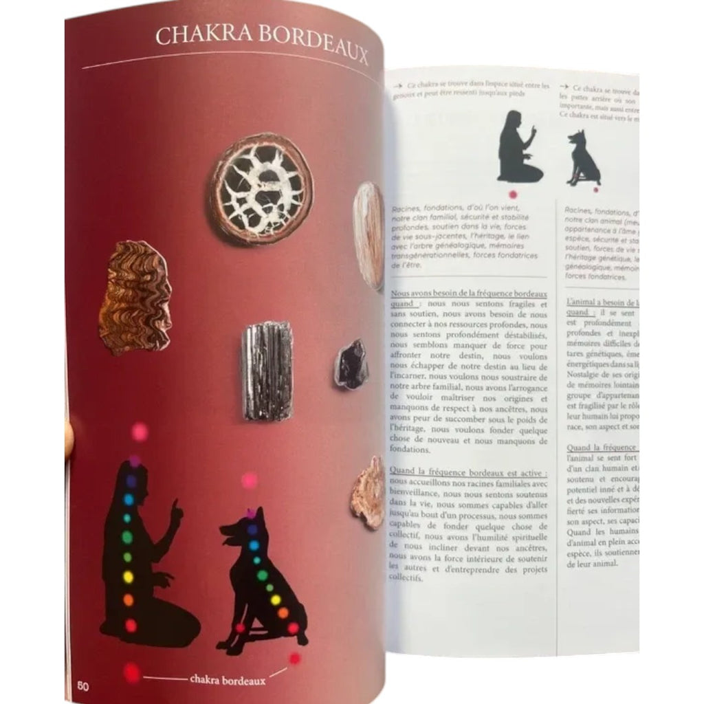 Lithothérapie animale – 50 pierres et élixirs minéraux - Régina Martino